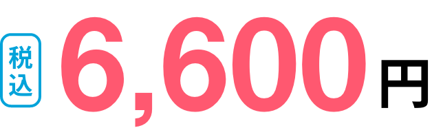 税込6,600円